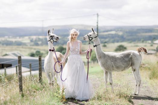 - The Wellbeing Farm
