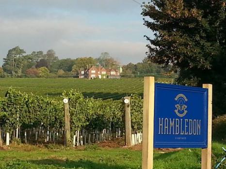 Wedding Venues In Italy - Hambledon Vineyard