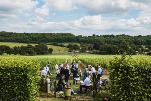 Wedding Venues In Italy - Hambledon Vineyard