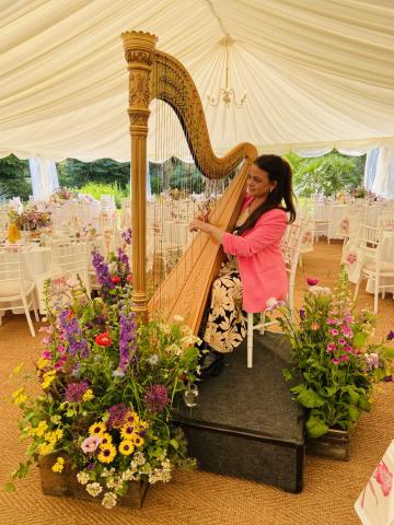 Divine Harp - Harpist - Wedding Music - Hamilton 