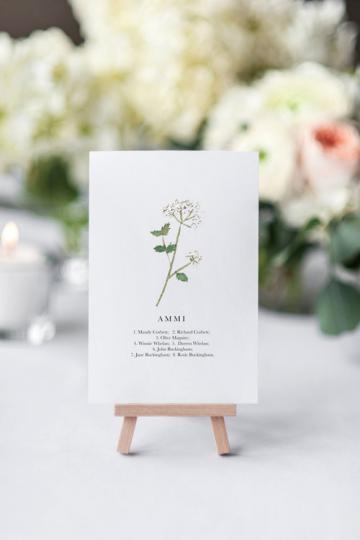 - Wildflower Illustration Co.