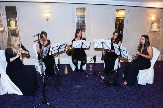 Music & Entertainment - Mozart Symphony Orchestra