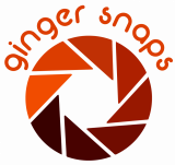 ContactGinger at Ginger Snaps now to get a quote