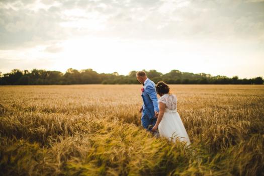 - Harness & Co. Weddings & Life Events