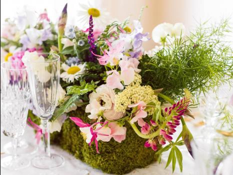 Find Wedding Planners - The New Wonderful Wedding & Party Design
