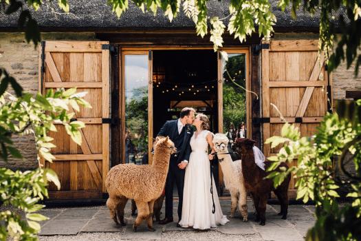 Barn Wedding Venues Near Me - Tythe