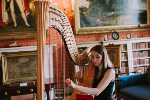 Music & Entertainment - Elinor Nicholson Harpist