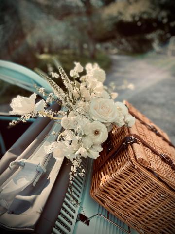 - Lil & Blue