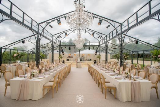 - Scarlet Events