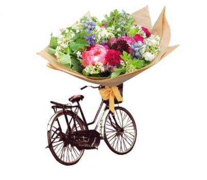 Flowers - The Flower Appreciation Society