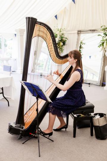- Heather Wrighton Harpist