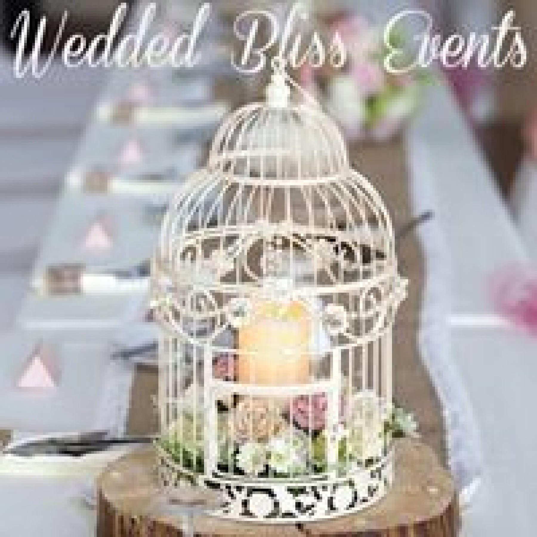 cheap party planners near me