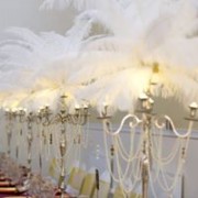 ContactChrissy at Wedded Bliss Events now to get a quote
