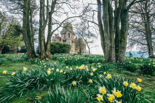 Barn Wedding Venues Near Me - Cornhill Castle