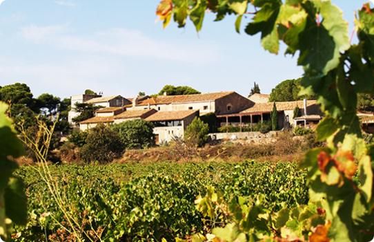 Wedding Venues In Italy - Chateau le Bouis