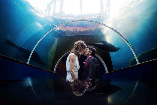 - Martin Dabek Photography