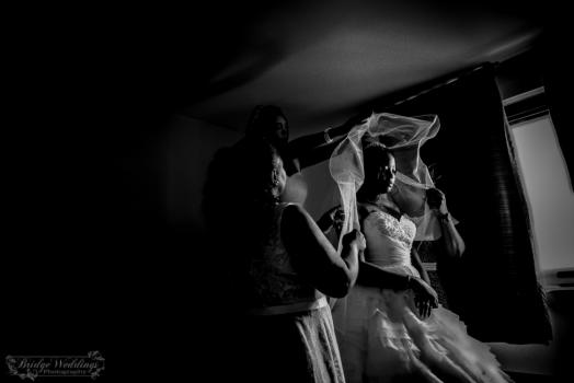 - BridgeWeddings