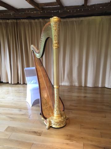 - Harriet Adie - Harpist