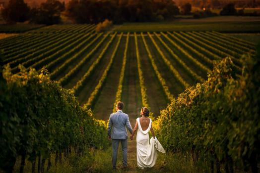- Dan Morris Photography