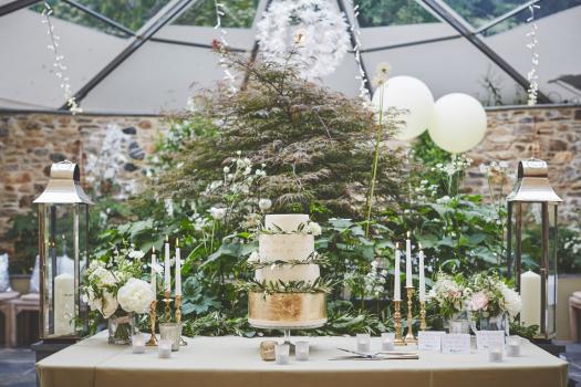- Ever After - a Dartmoor Wedding