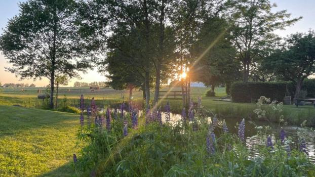 Ställen för vinterbröllop
- Husargårdens Bed & Breakfast