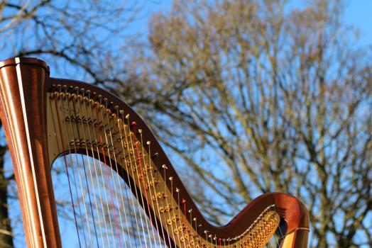  - Alice Kirwan Harpist