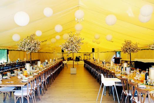 - White Orchid Events
