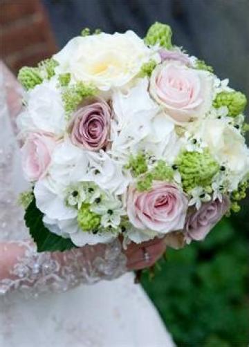 - Sweet William Florist