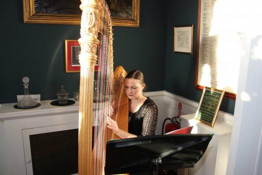  - AlleyBY Harpist