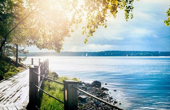Ställen för vinterbröllop
- Artipelag