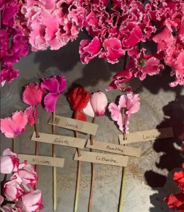 - Floristkompaniet