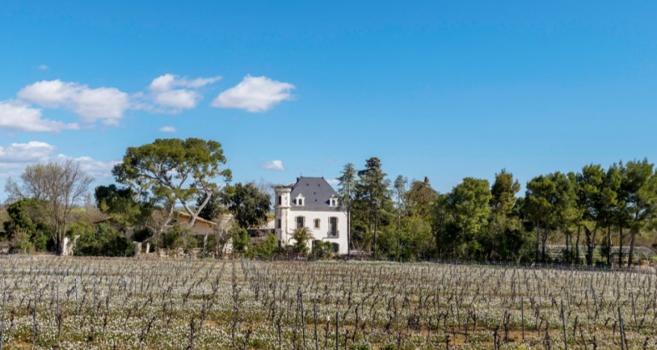 Wedding Venues In Italy - Domaine Tarbouriech