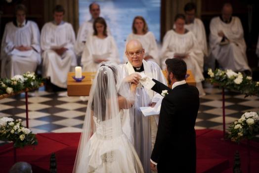- Absolute Perfection Wedding Consultancy