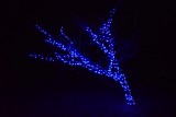 ContactSam at Candle Arbors now to get a quote