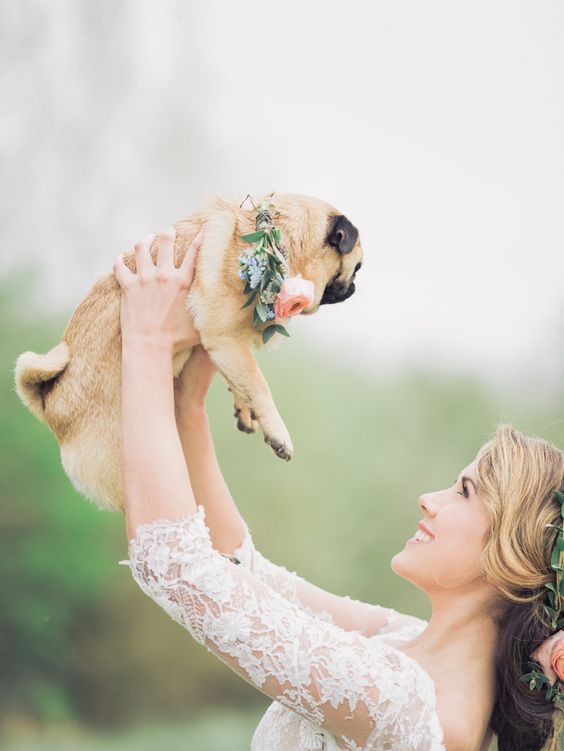 wedding, wedding planning, wedding tips, dogs at weddings, wedding advice, pets at weddings, 