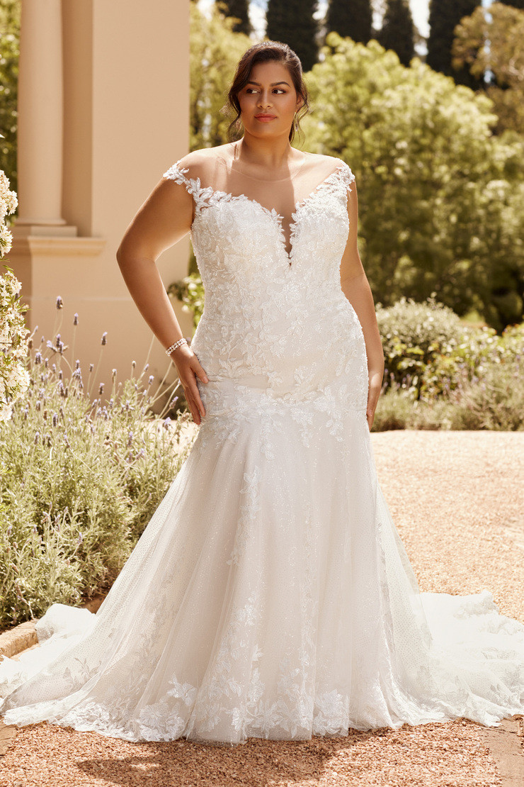 sophia tolli plus size