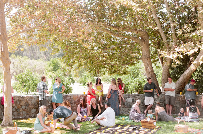 picnic wedding