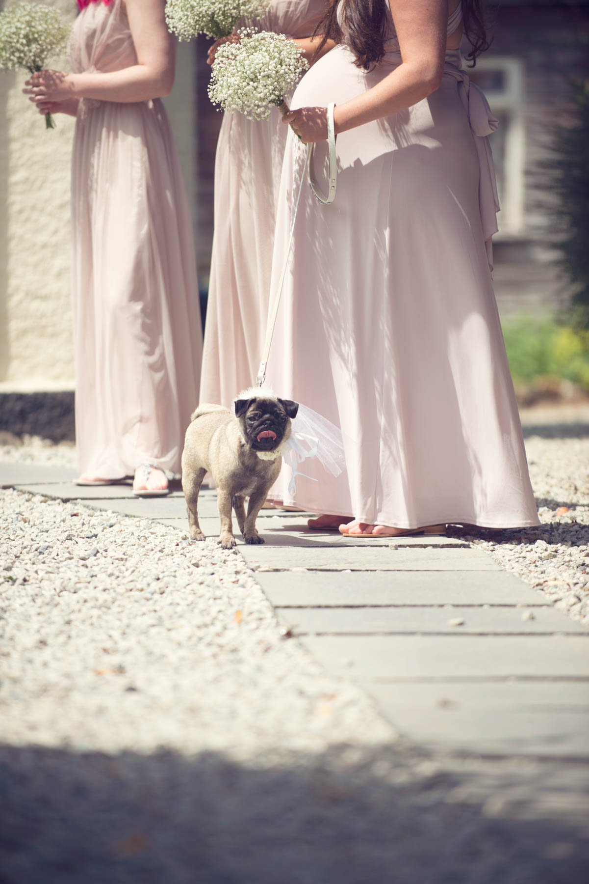 real wedding, the Green Cornwall, cornwall wedding venue