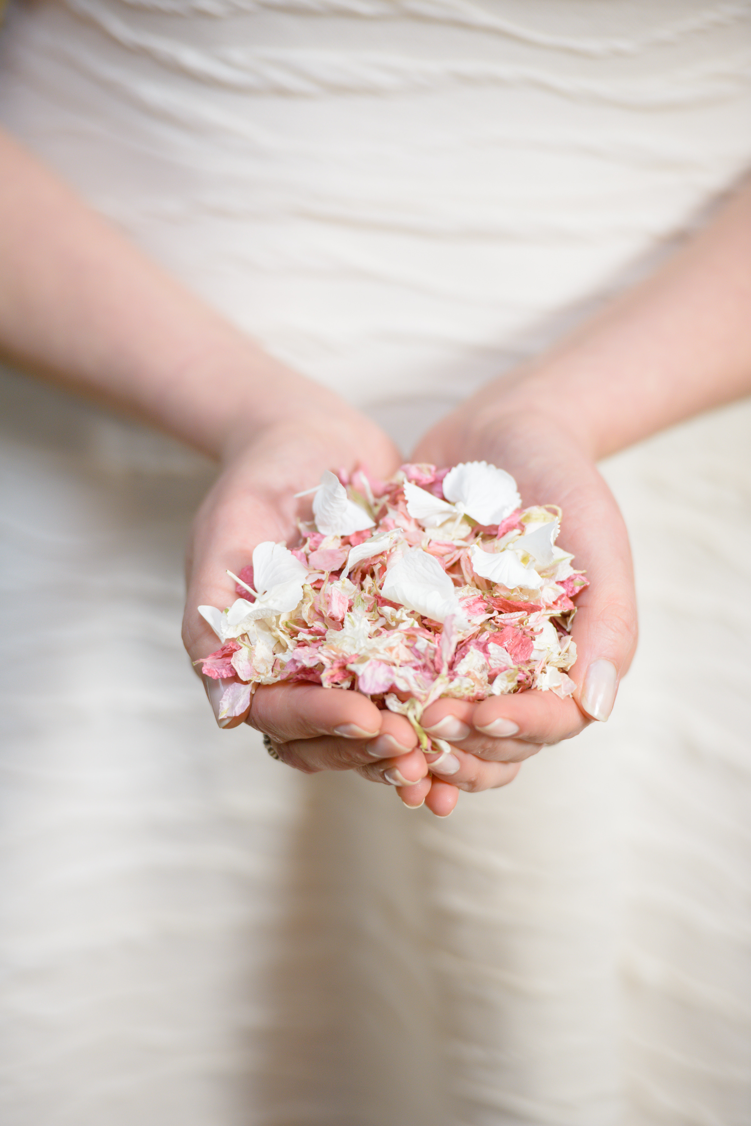 Shrophsire petals confetti