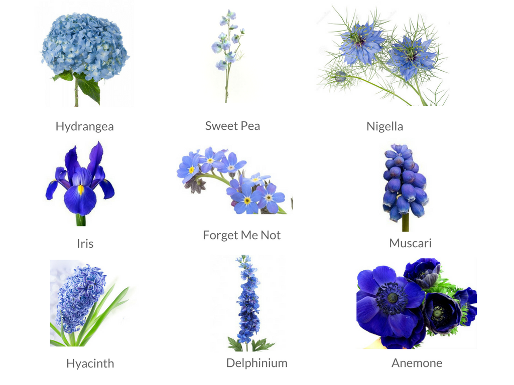 blue flower bouquet uk