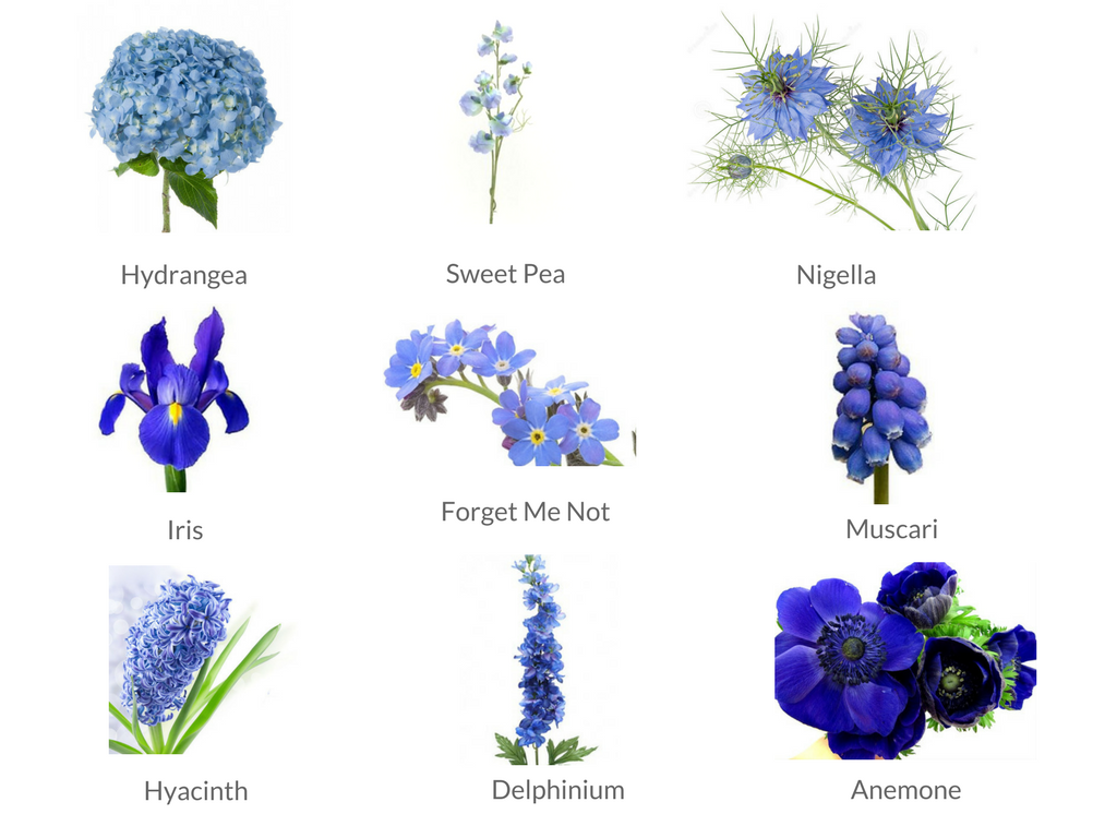 Cheat Sheets To Spring Wedding Flowers Weddingplanner Co Uk