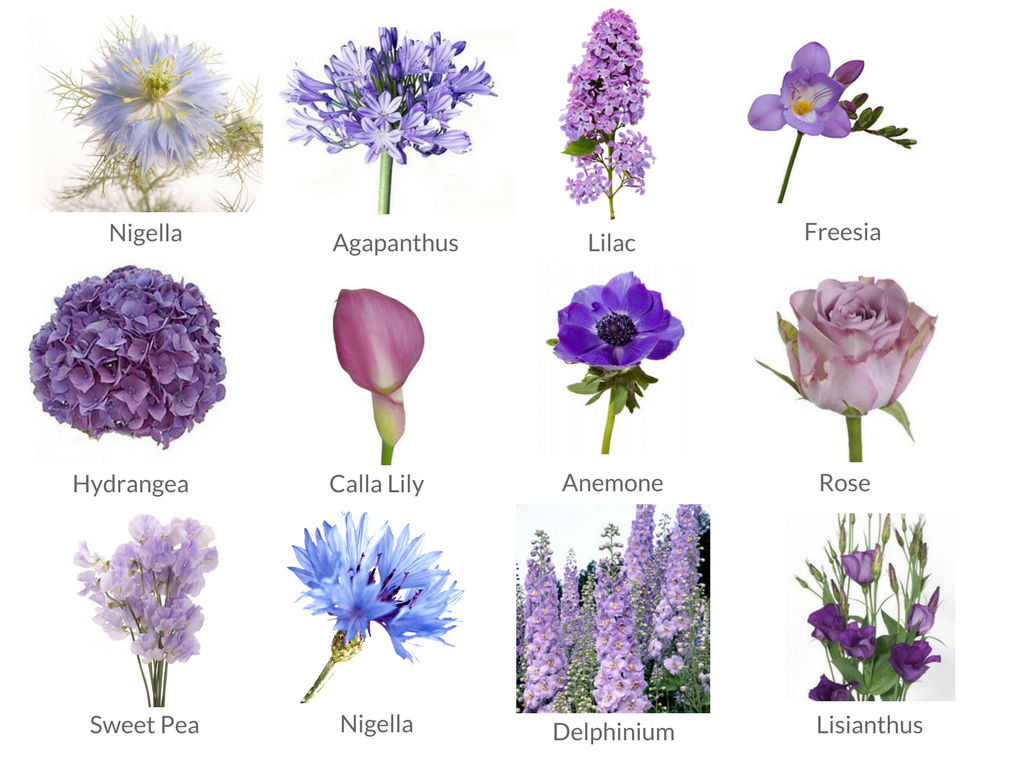 types of purple wedding flowers