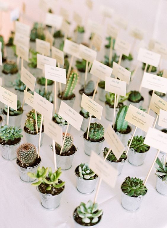 cacti, greenery, pantone, wedding planner, wedding favours