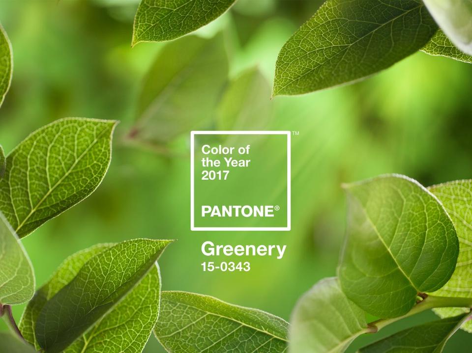 pantone colour of the year, greenery, pantone greenery, wedding ideas, wedding colour ideas