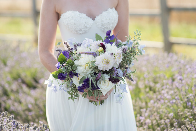 lavendar fields, bridal shoot, the events designers