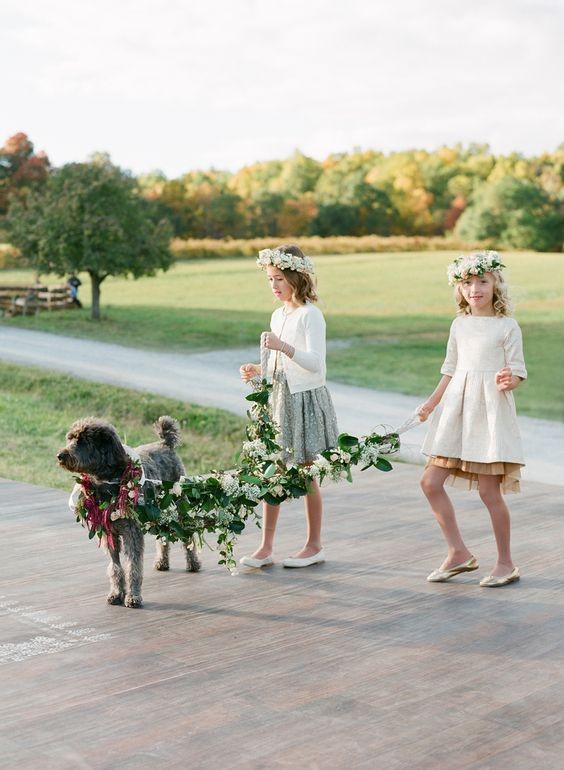 wedding, wedding planning, wedding tips, dogs at weddings, wedding advice, pets at weddings, 