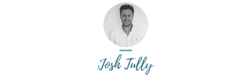 wedding ideas, wedding ambassador, josh tully