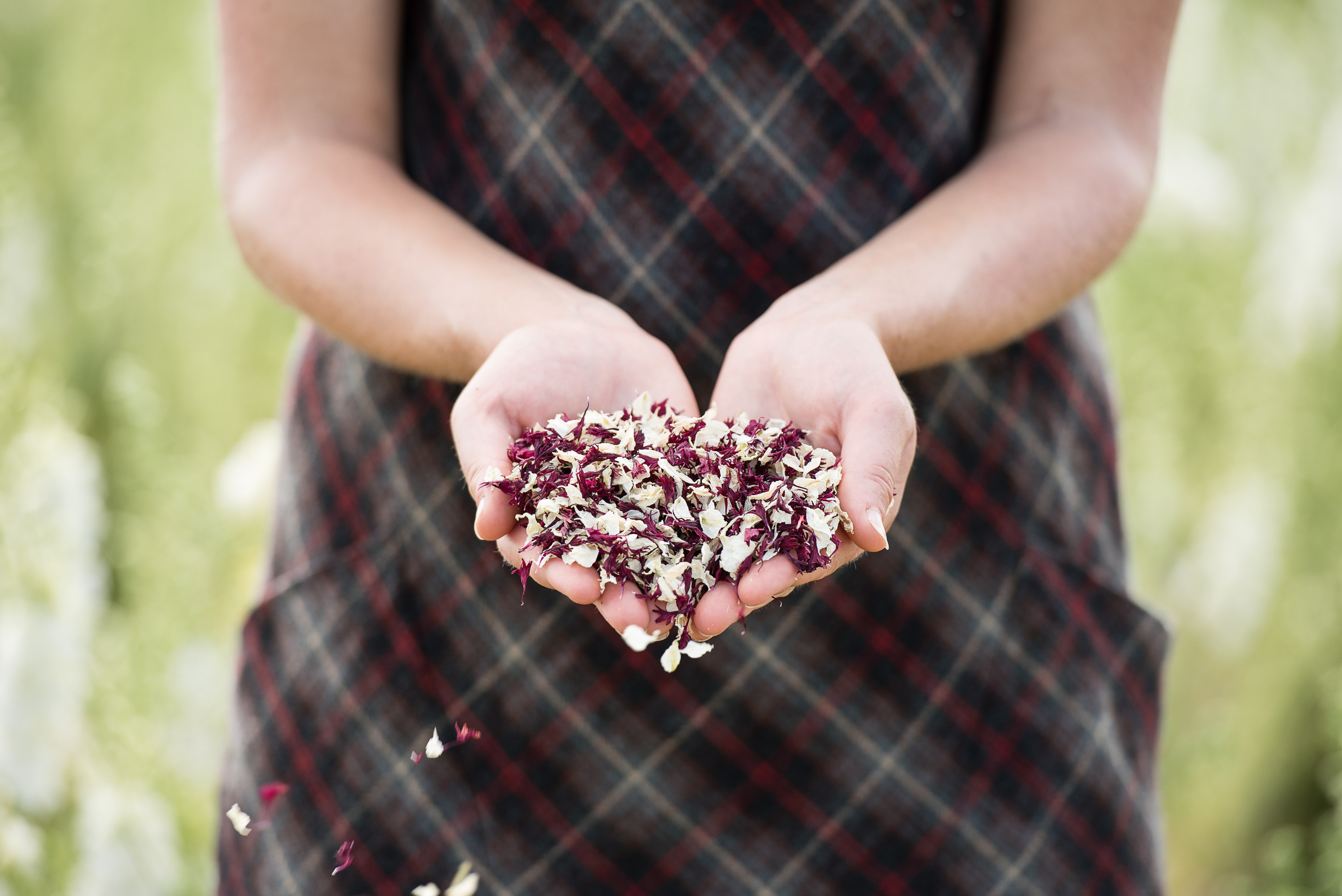 shropshire petals confetti