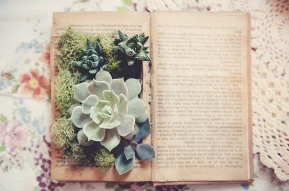 book inspired wedding, literary wedding, literature inspired wedding 