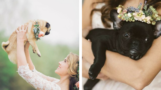wedding, wedding dog, wedding ideas, wedding inspiration, involving your dog
